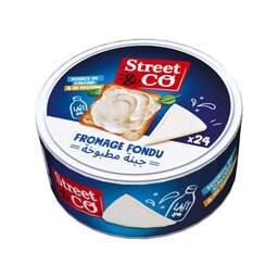 [6194049404289] STREET AND CO 24P